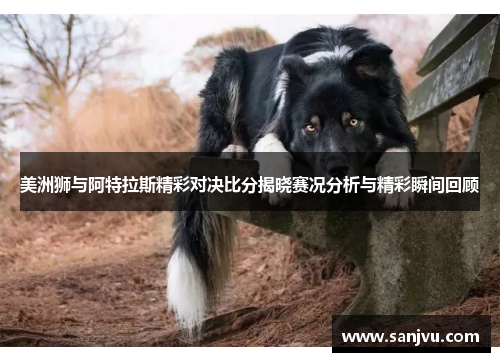 美洲狮与阿特拉斯精彩对决比分揭晓赛况分析与精彩瞬间回顾